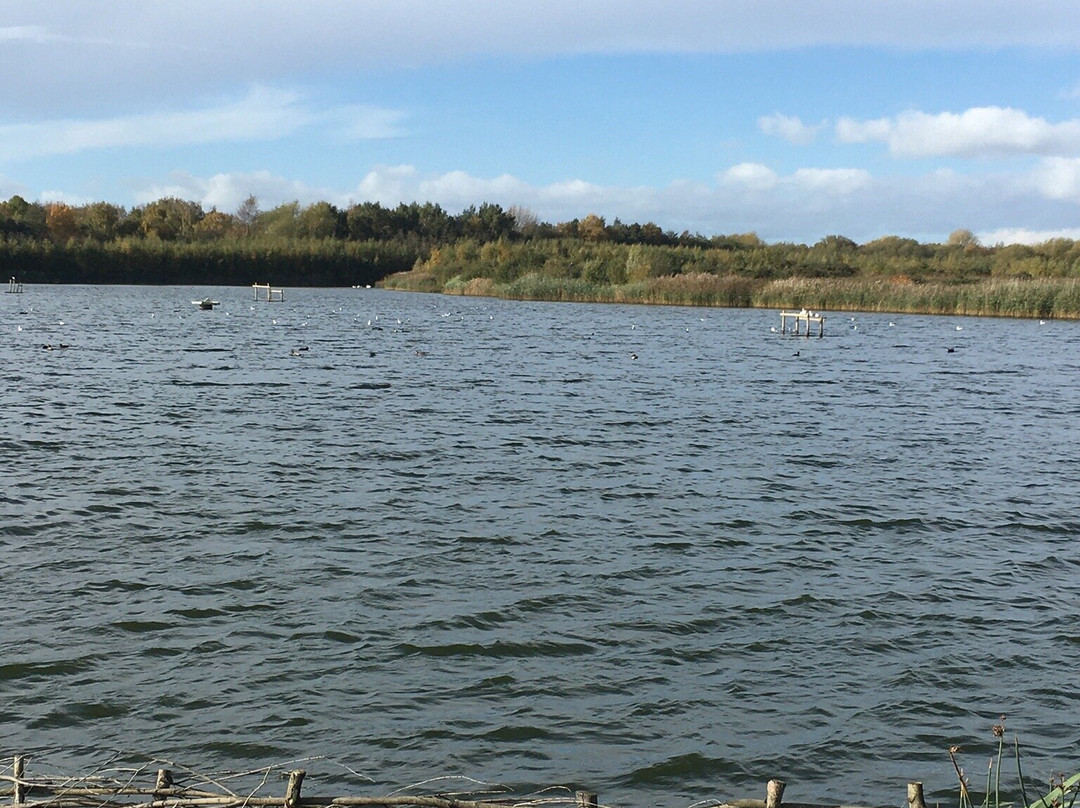 RSPB St Aidan's nature park景点图片