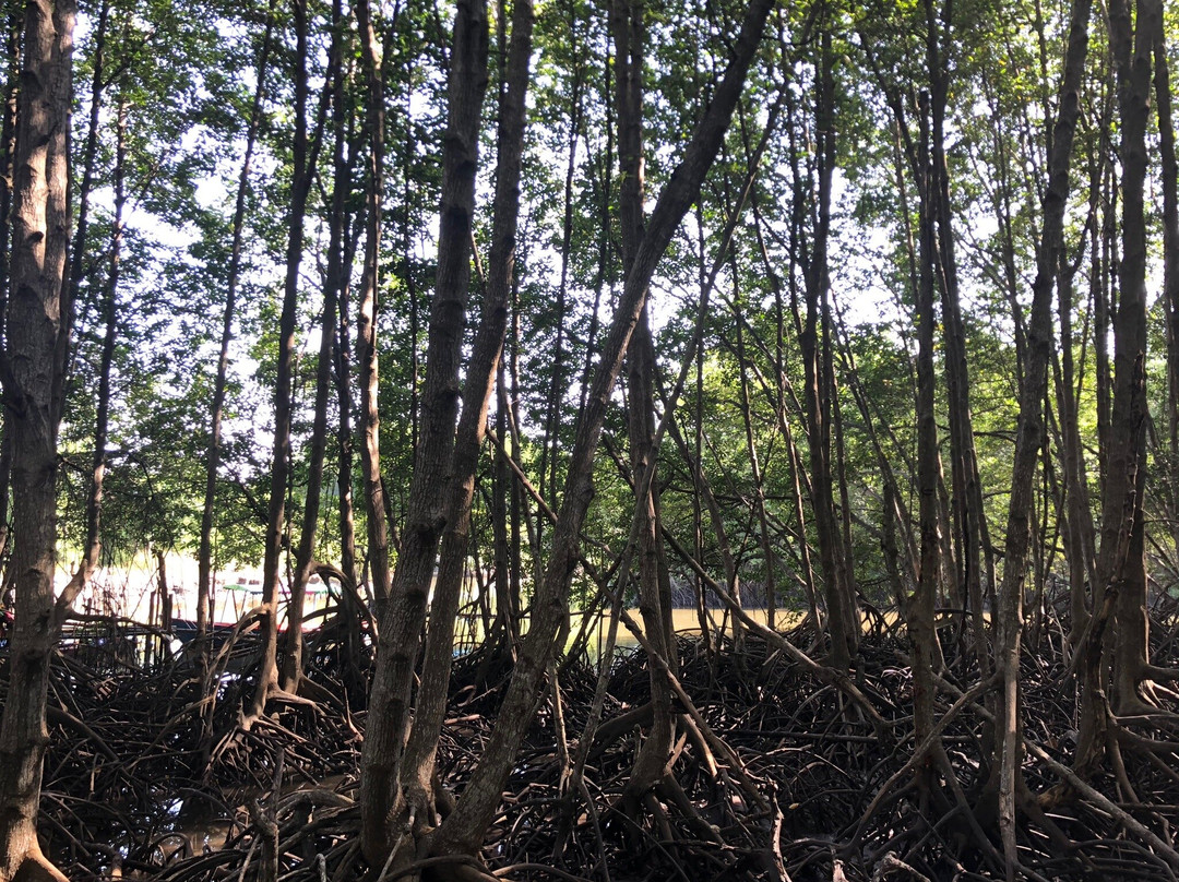 Tung Prong Thong-Ban Pak Nam Krasae必去景点