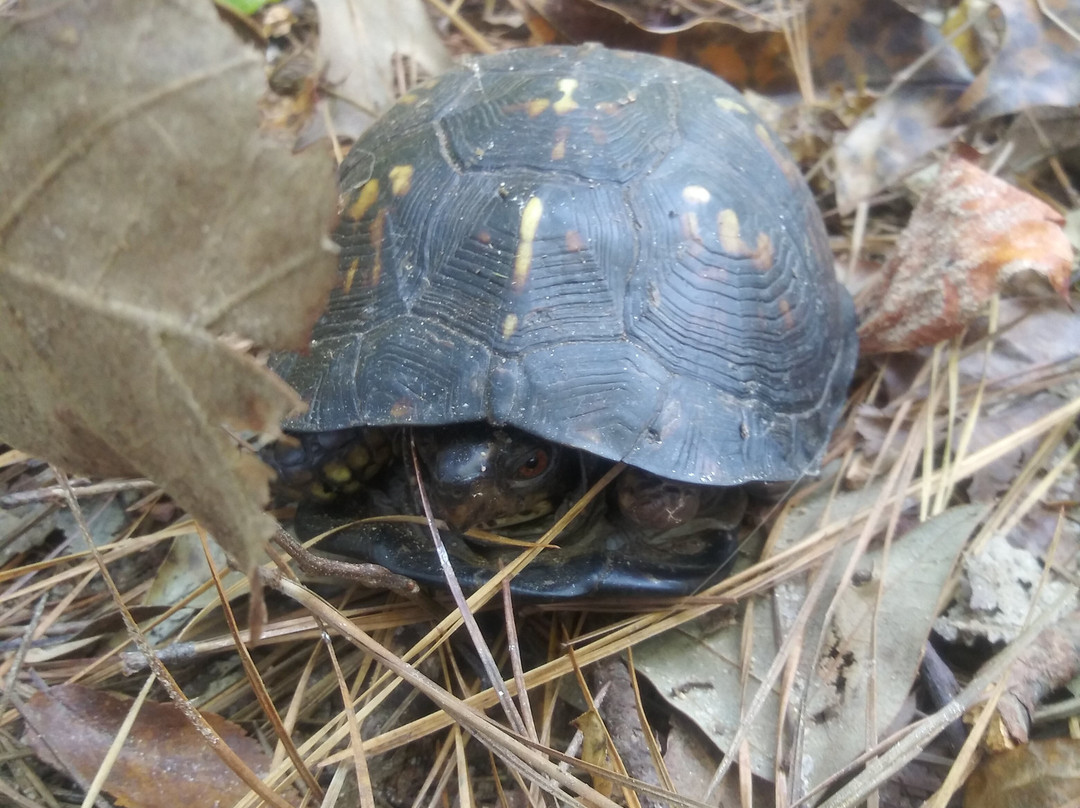 Fort Yargo State Park-Winder必去景点