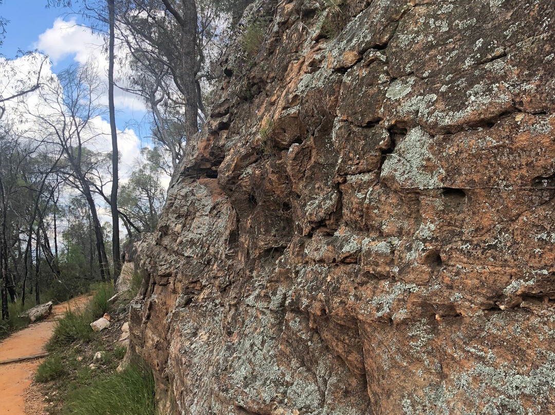 Sandstone Caves景点图片