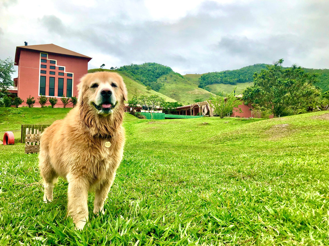 Pousada Le Ange主图