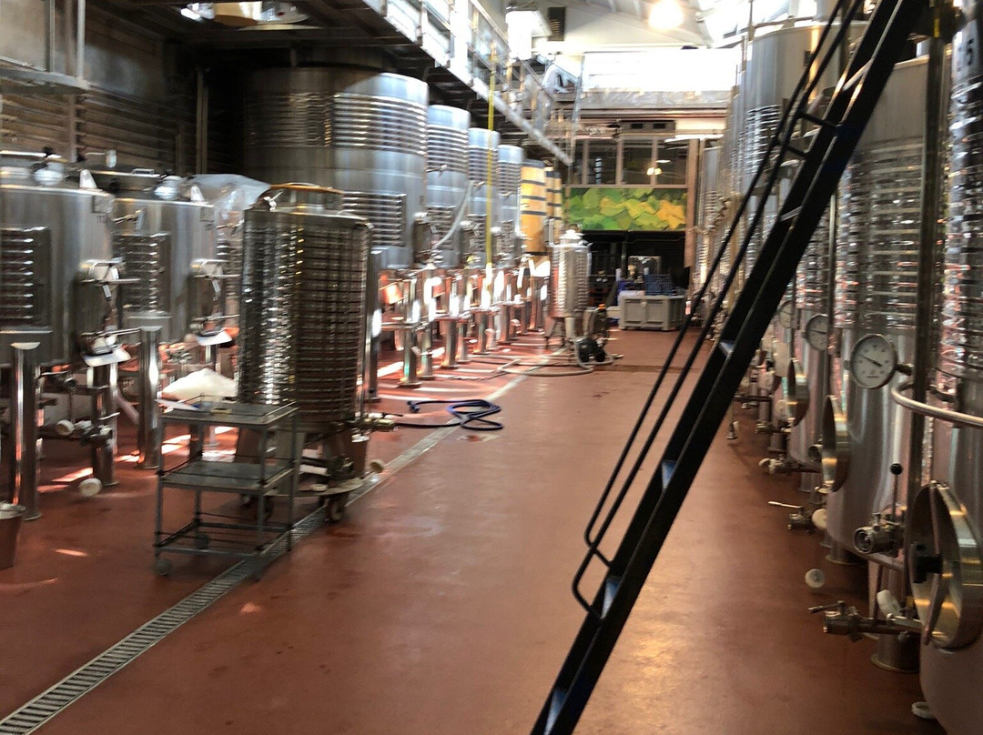 Bodega Castell d'Encus景点图片