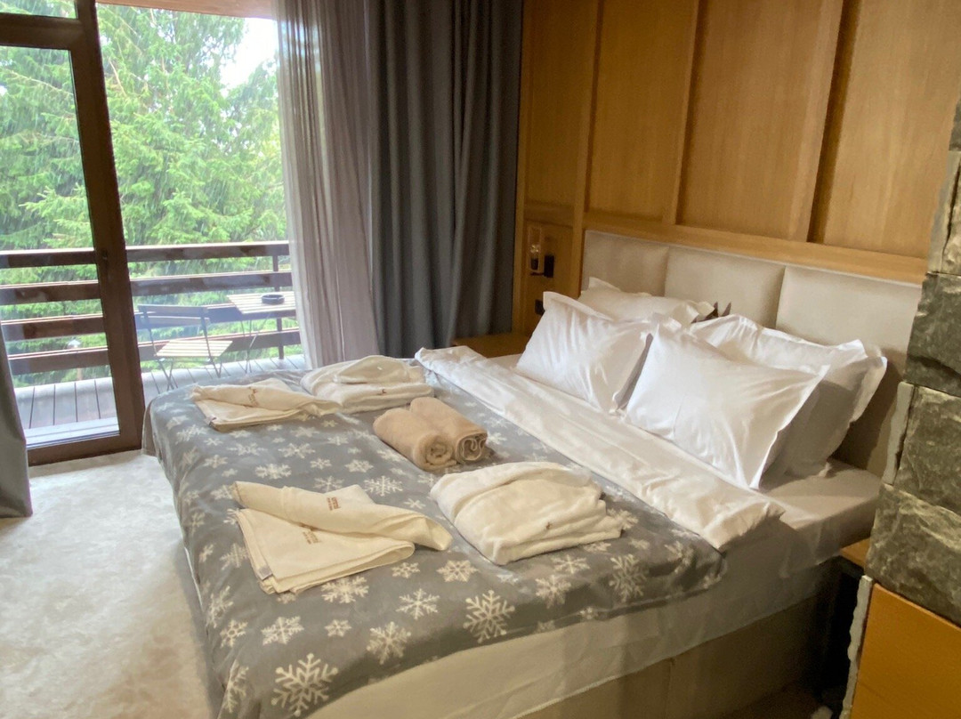 Hotel Moreni & Spa主图