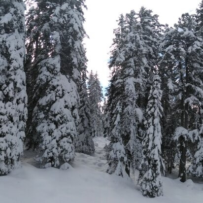 Passo di Lavaze-Varena必去景点