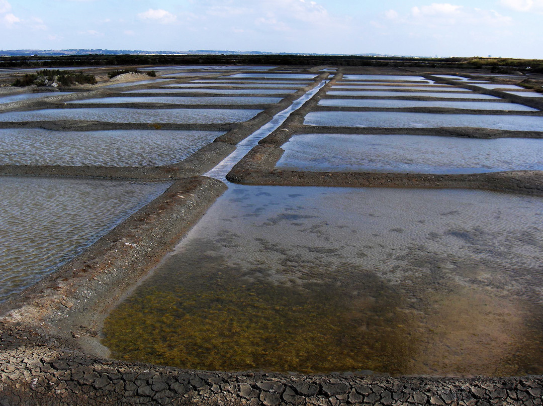 Marais Salants de Guerande景点图片