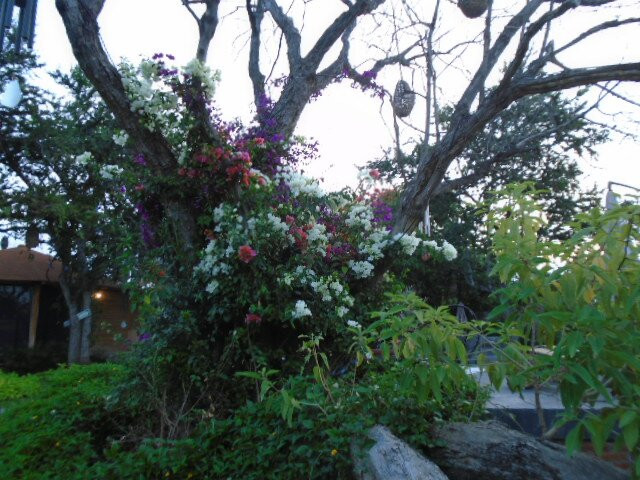 Villa Armonia Hotel & Spa主图