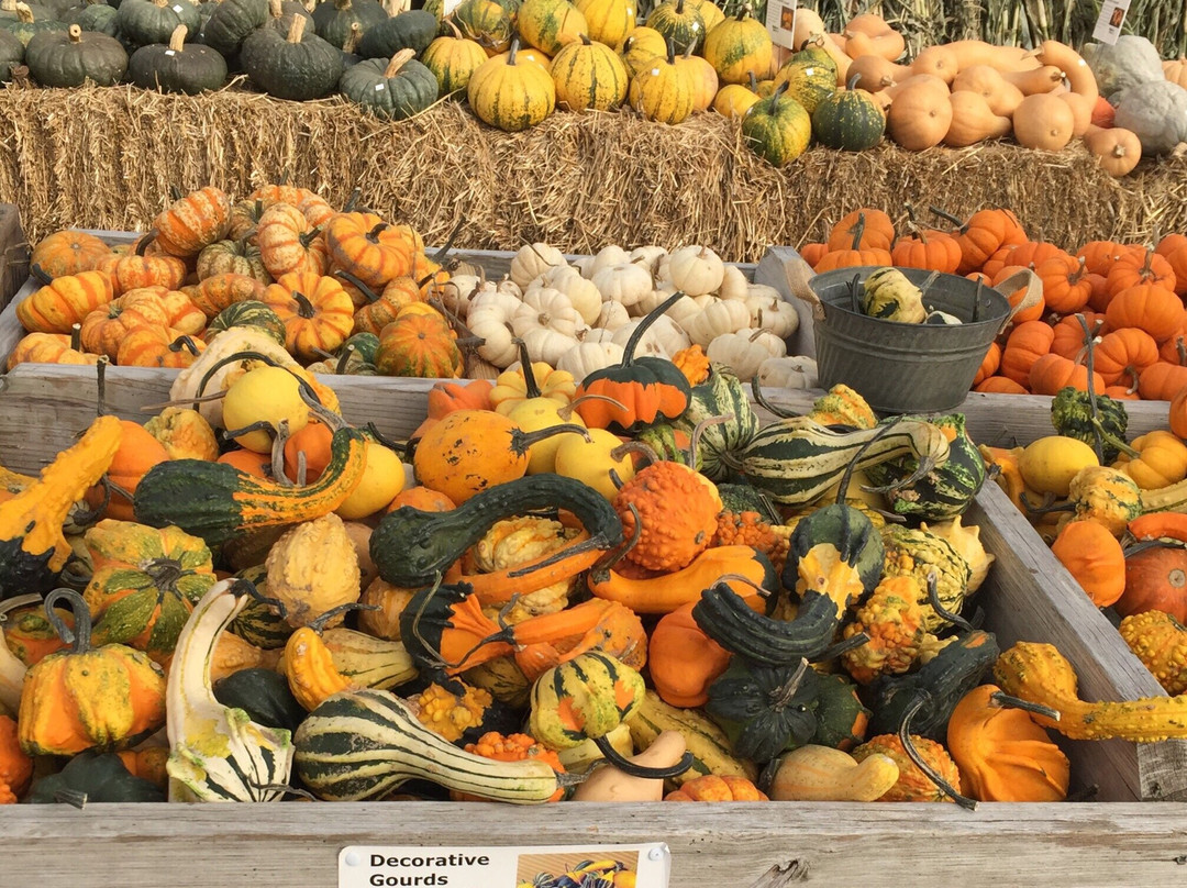 Waldoch Farm-Lino Lakes必去景点