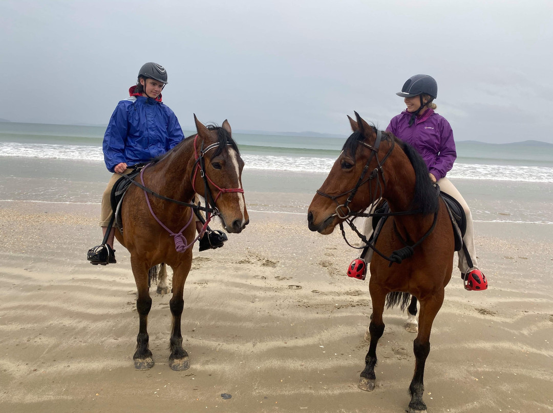 Horse Riding Tasmania景点图片