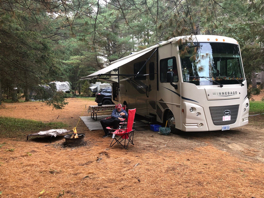 Algonquin Pines Campground主图