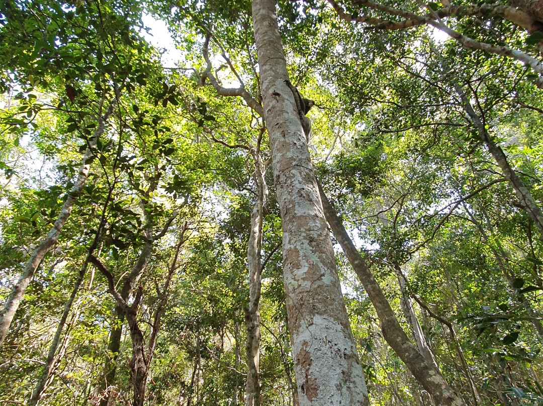 Ocean View Lookout Track