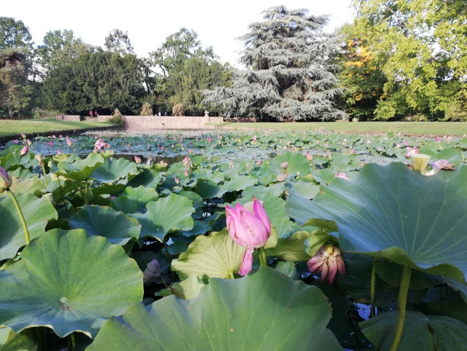 Parc de Schoppenwihr-Bennwihr必去景点