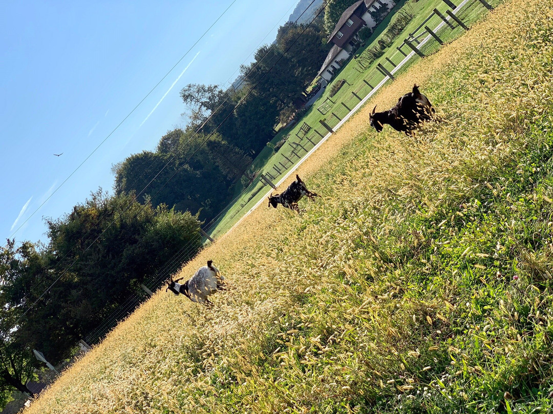 Frush Farm Bed & Breakfast主图
