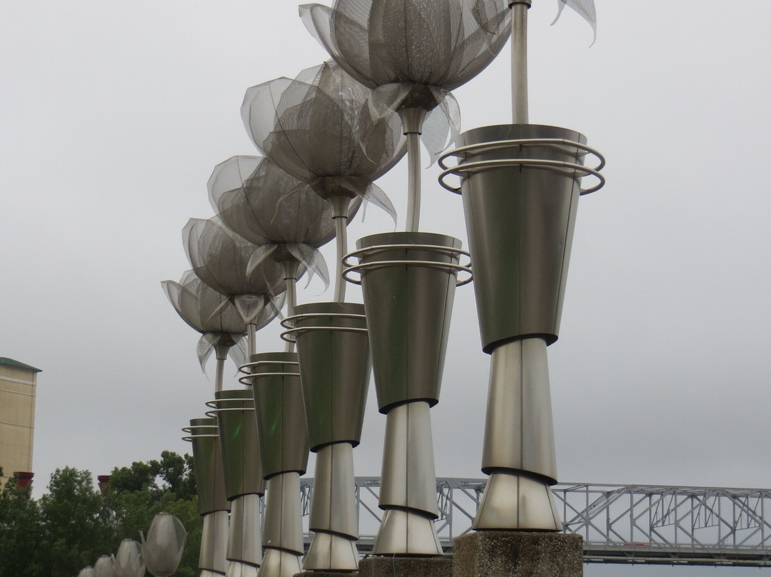 Riverview Park-什里夫波特必去景点