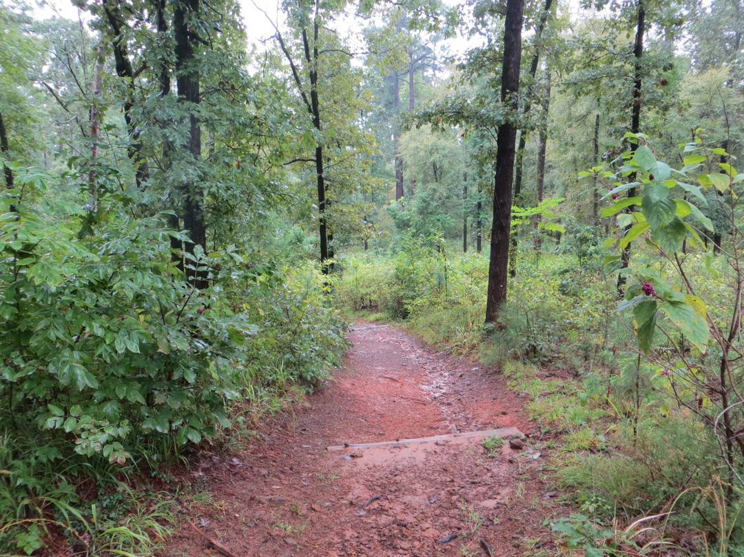 Atlanta State Park-Atlanta必去景点