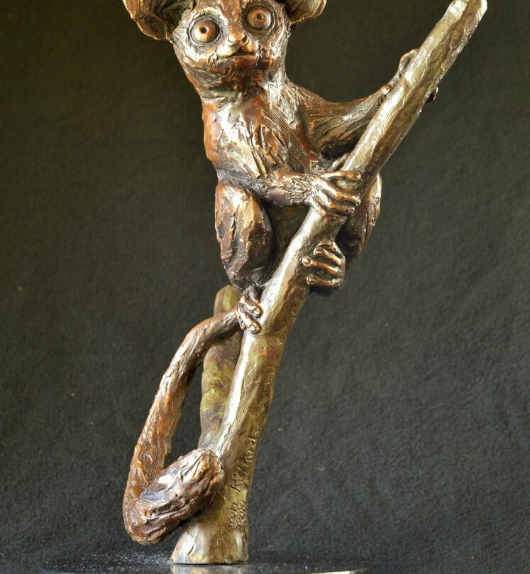 Warren Cary Wildlife Gallery-霍德斯普鲁特必去景点