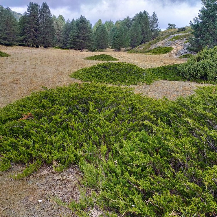 Nacimiento del Rio Tajo景点图片