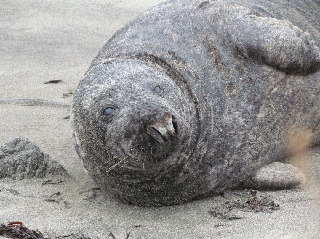 Illugastaðir Farm-Bifrost必去景点