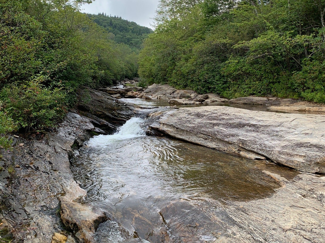 Graveyard Fields Hike & Waterfalls-Canton必去景点
