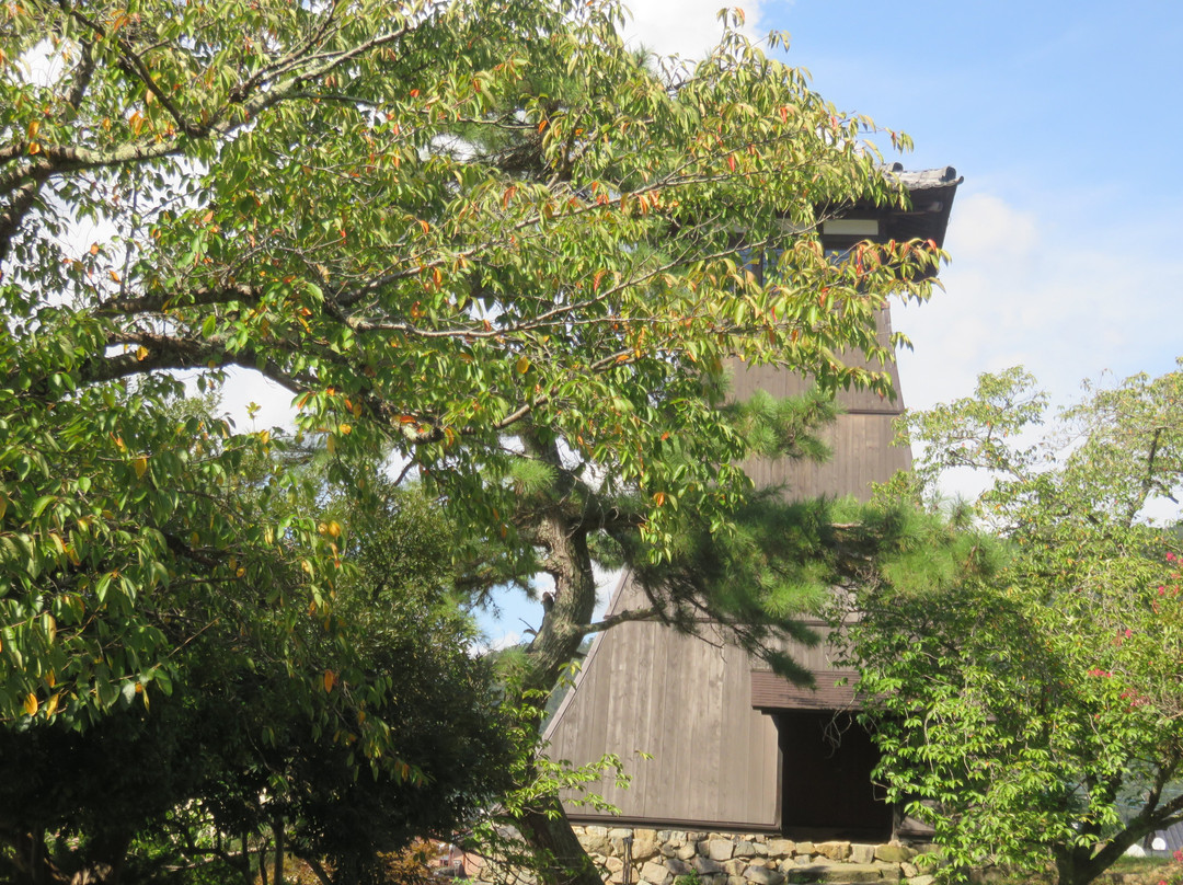 Shinkoro-丰冈市必去景点