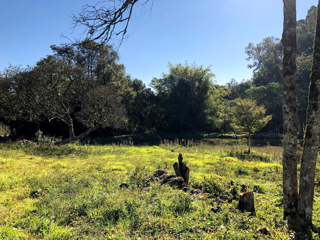 Vinhos Fae-Monte Belo do Sul必去景点