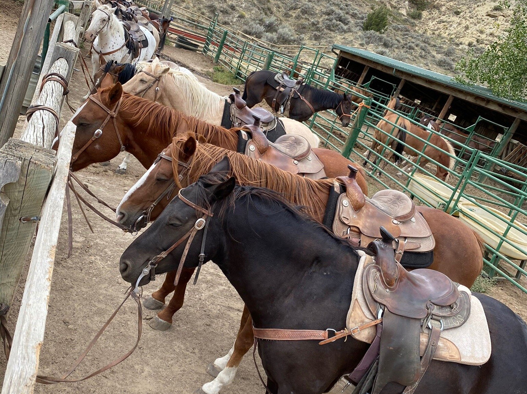 Medora Riding Stables-Medora必去景点