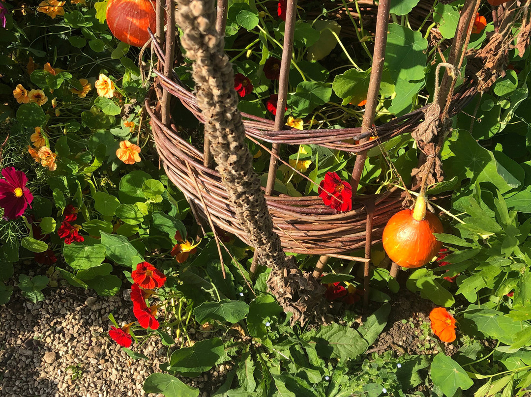 Bridewell Organic Gardens景点图片