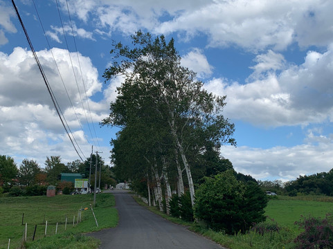 Heidi Farm-长沼町必去景点