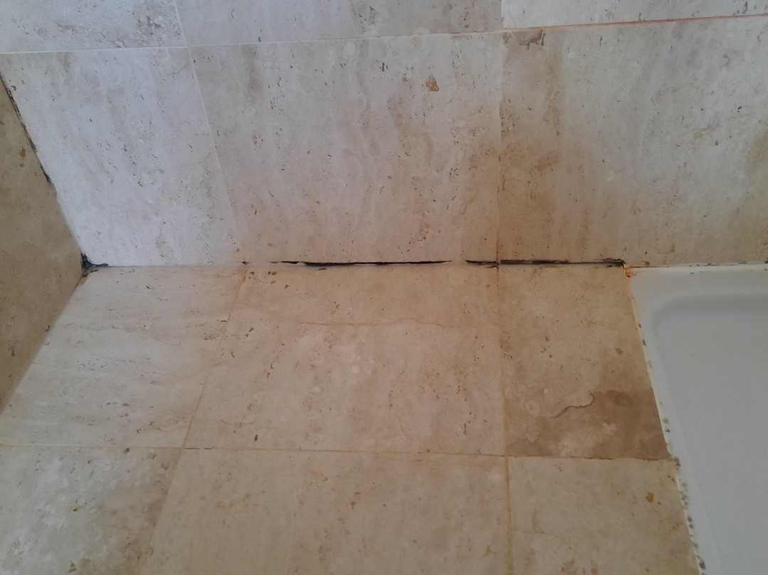 布赖特斯彻小屋酒店主图