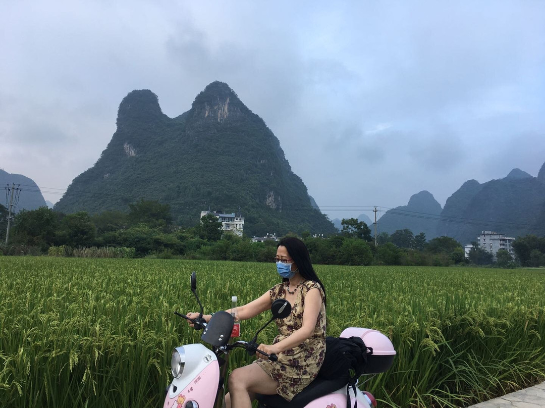 阳朔古迹山水园景点图片