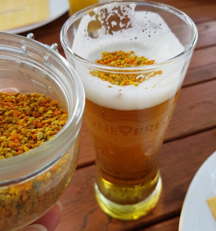 HoneyBrew Lasko Tour-Lasko必去景点