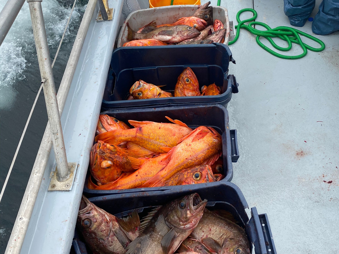 Garibaldi Charters-Garibaldi必去景点