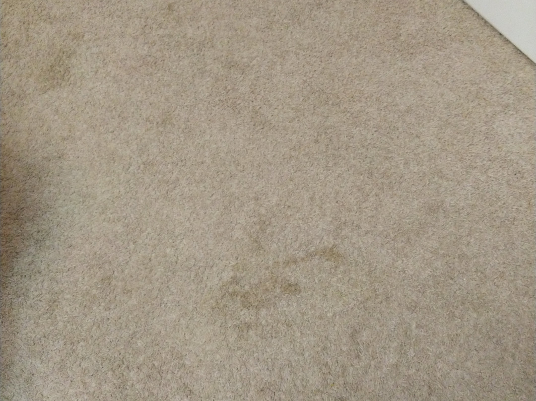 Executive Guest Houses & Suites Boardwalk Homes主图