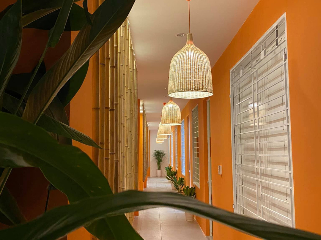 The Tspa-Tam Ky必去景点