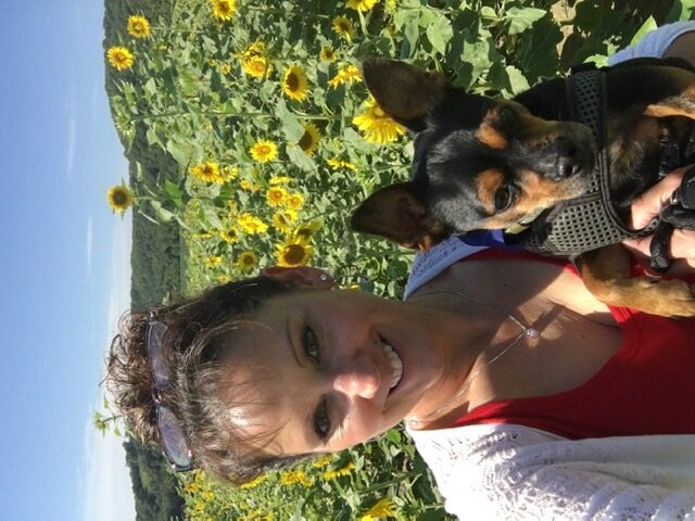 Brookdale Farms-Eureka必去景点