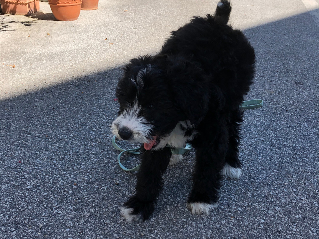 Wirthaus & Dorfhotel Mayer主图