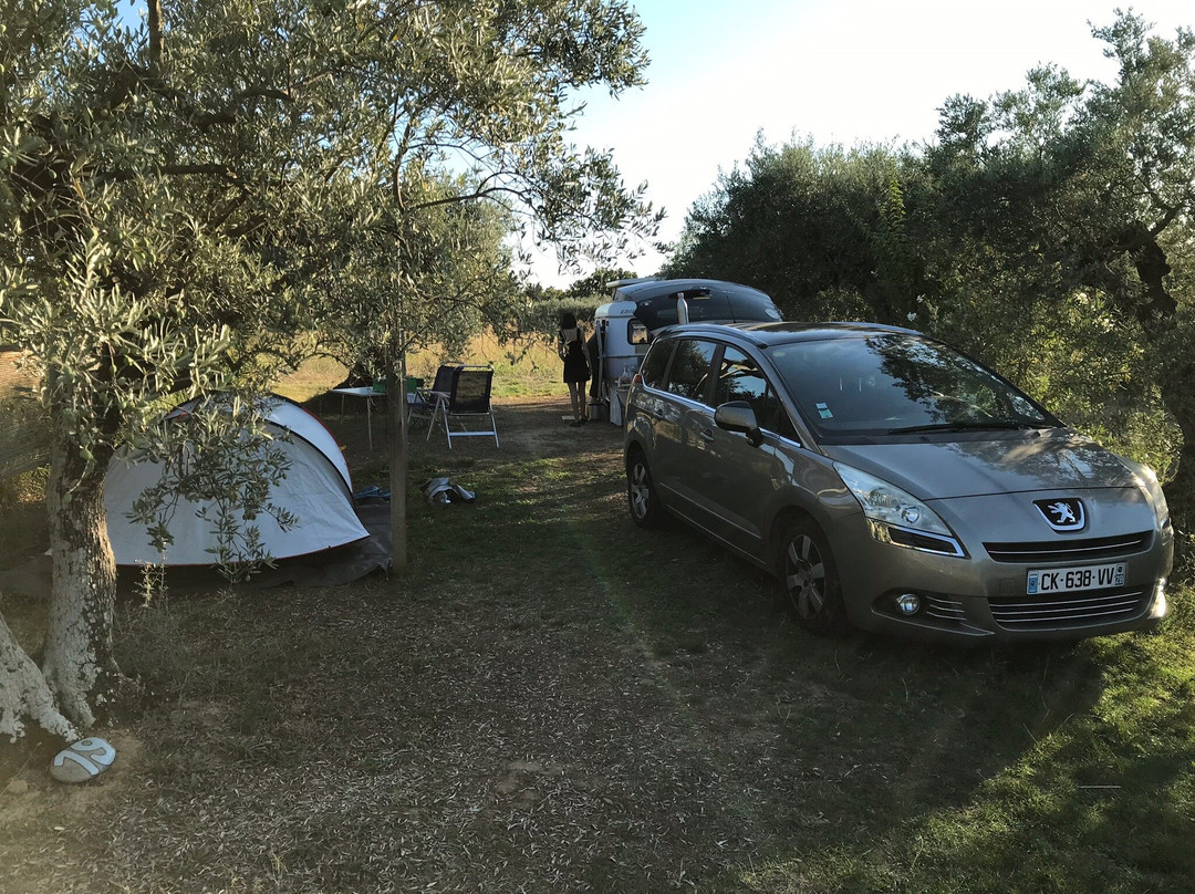 Camping Little Carpe Diem