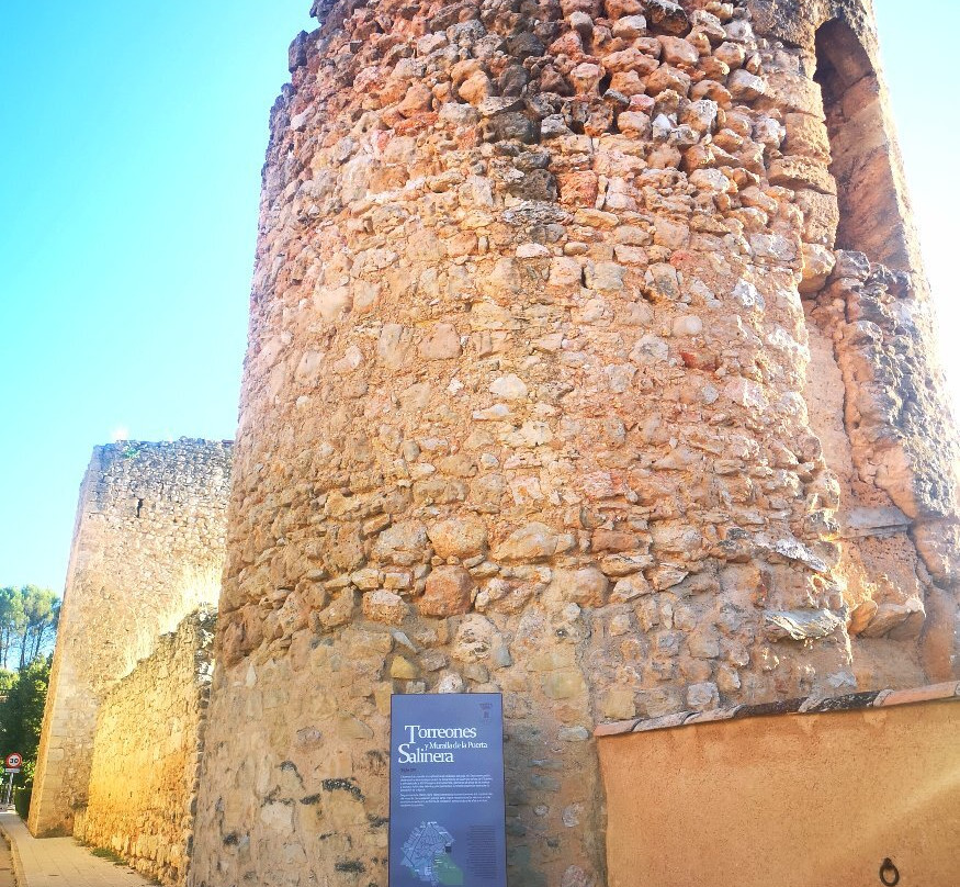 Torreones de la puerta Salinera景点图片
