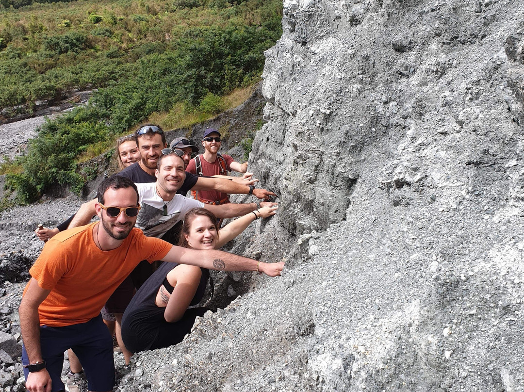 Alpine Fault Tours景点图片