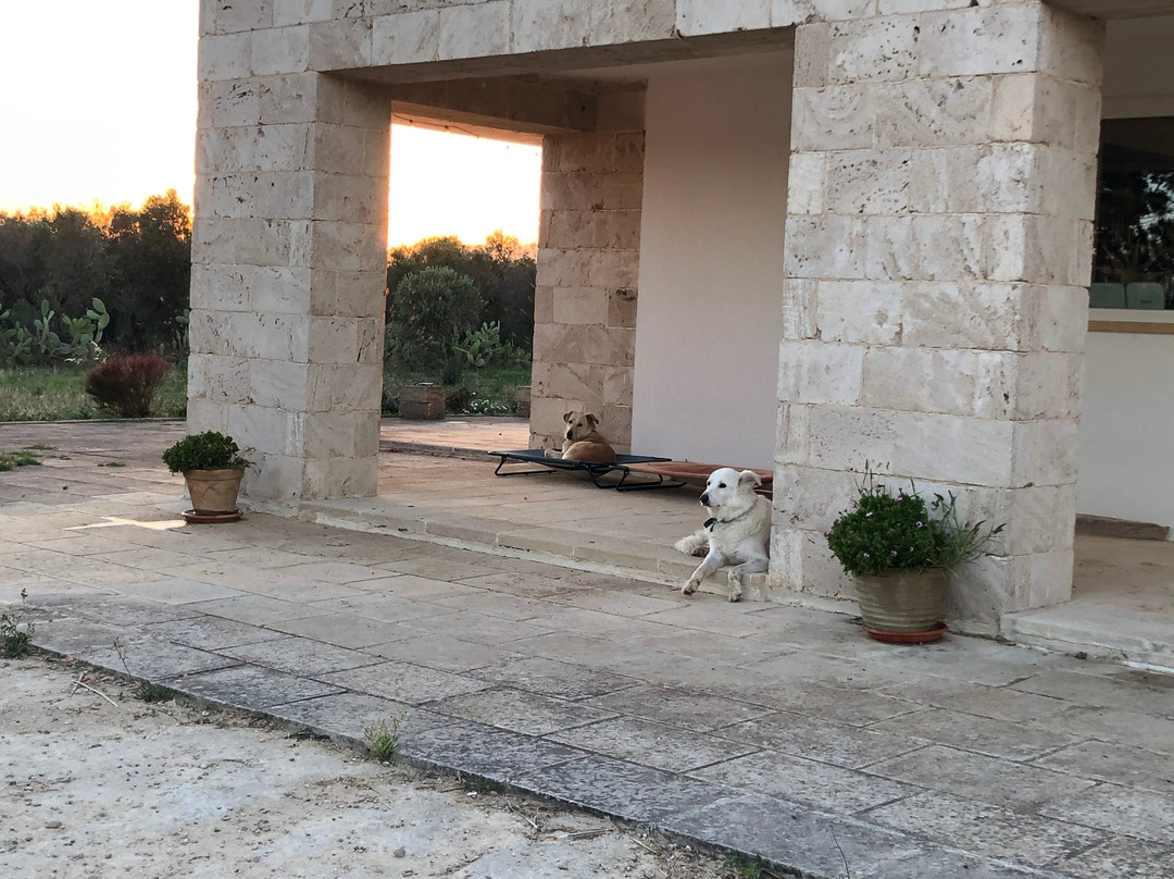 索斯塔阿波南特B&B酒店主图