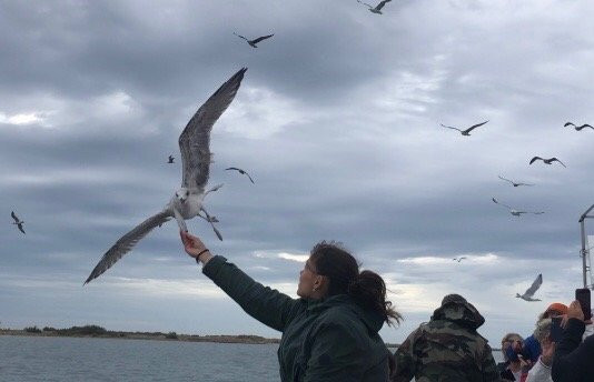Catamaran Port Grusan-Gruissan必去景点