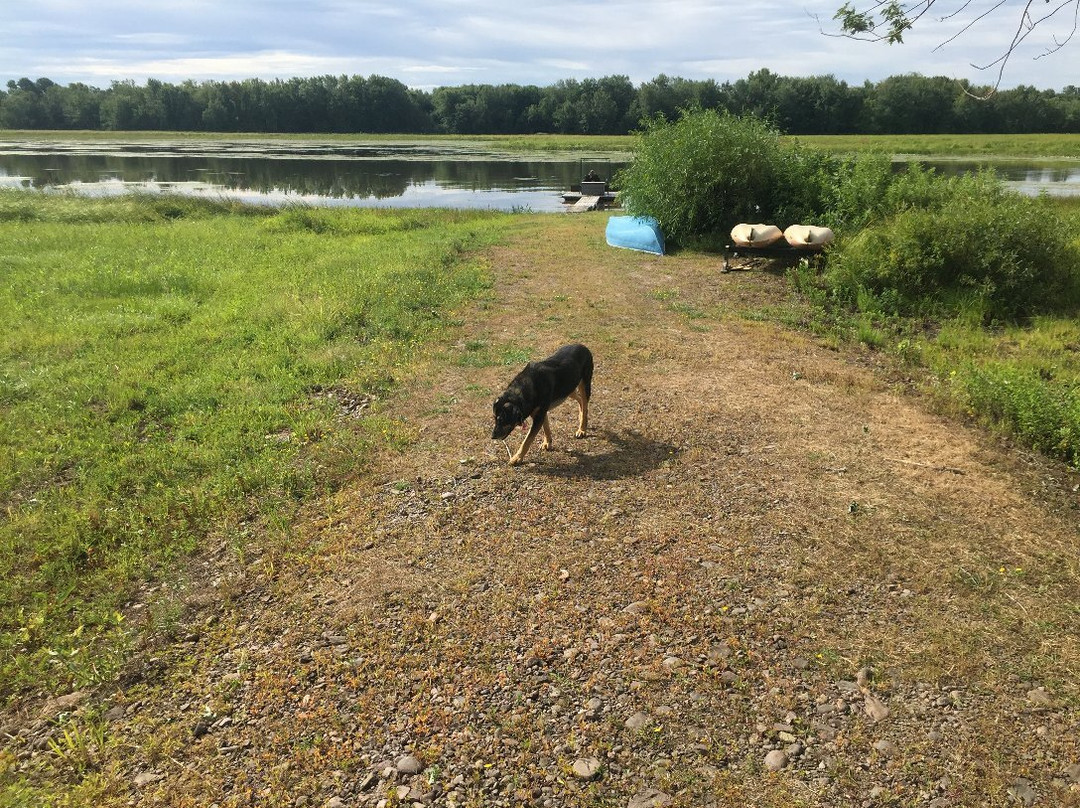 Country Lane Bed and Breakfast Inn主图