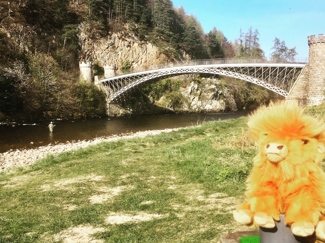Strathspey Tours景点图片