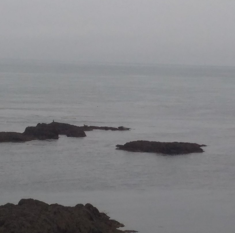 Seal Cove景点图片