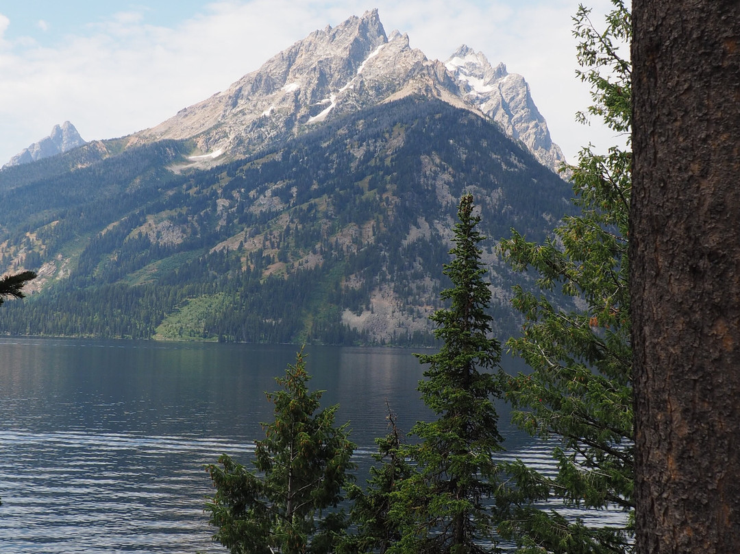 Jenny Lake Overlook景点图片
