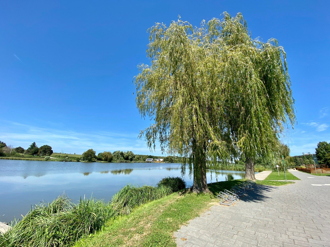 Csónakázó Lake-Nagykanizsa必去景点