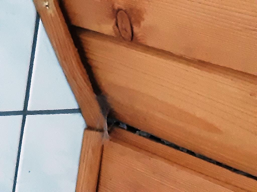 Landgasthof Zur Wildbahn主图