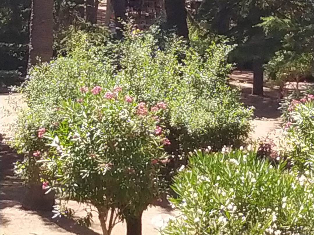 Pineta Marradi景点图片