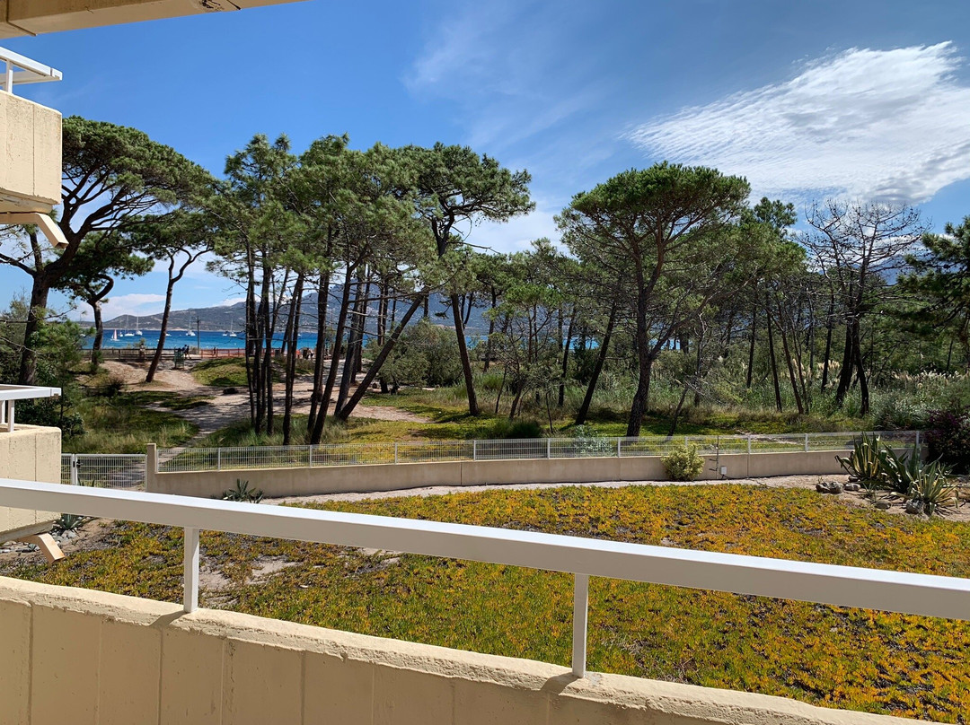Le Calvi Hôtel主图