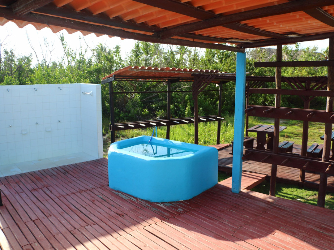 Coco Diving Center-Cayo Guillermo必去景点