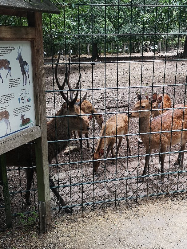 Wildpark Pforzheim-普福尔茨海姆必去景点